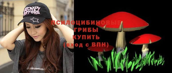 винт Алзамай
