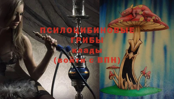 эйфоретик Алексеевка