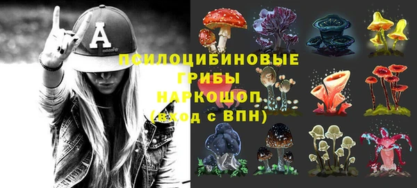 винт Алзамай