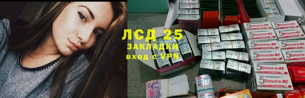 винт Алзамай