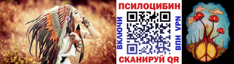 дарнет шоп  Артёмовск  Галлюциногенные грибы мухоморы 